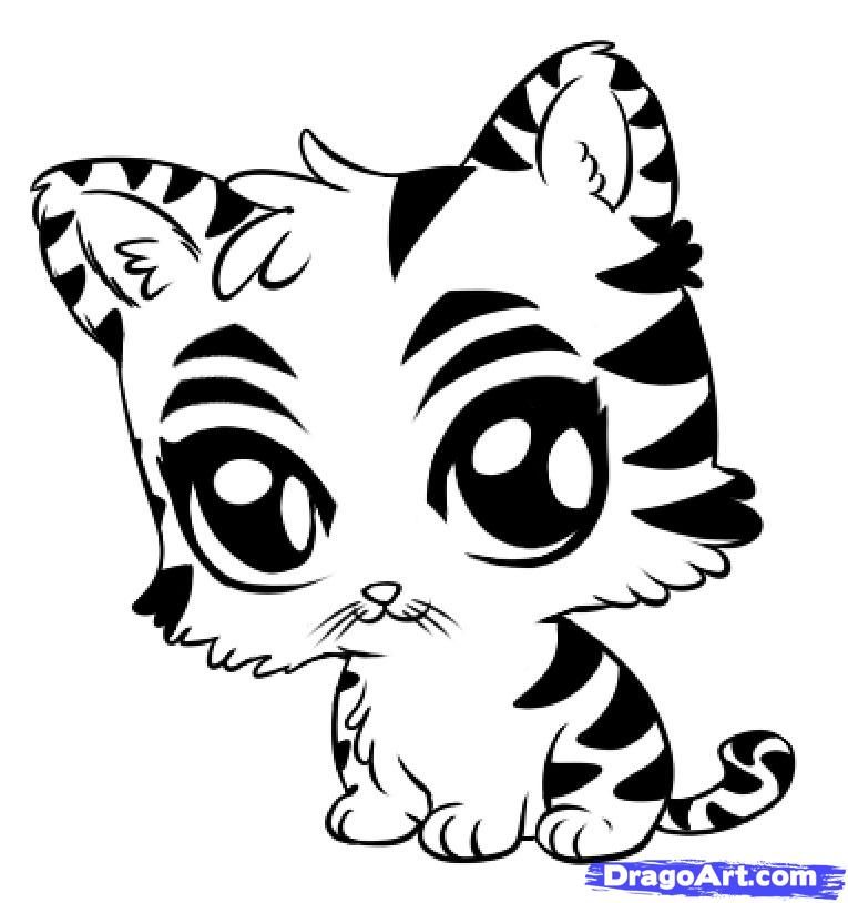 How to Draw a Cute Tiger, Step by Step, safari animals, Animals ...