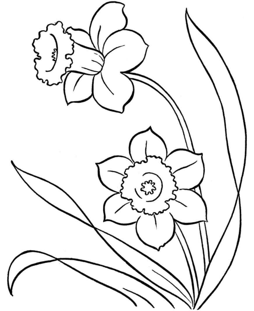 Spring flower coloring pages to download and print for free