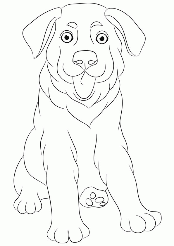 Free Printable Dogs and Puppies Coloring Pages for Kids