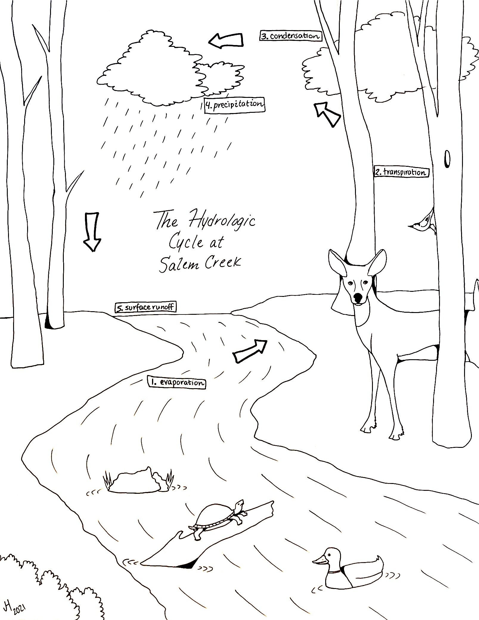 Coloring Sheets — Yadkin Riverkeeper