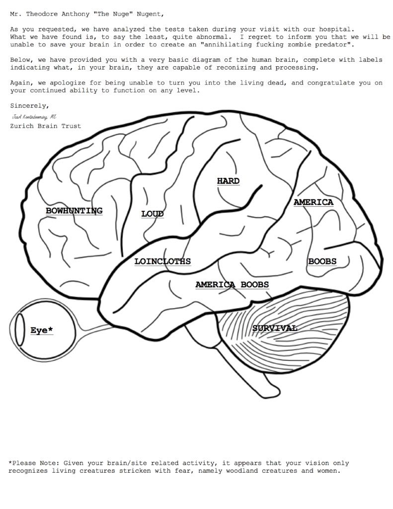 the human brain coloring book coloring concepts series amazoncouk ...