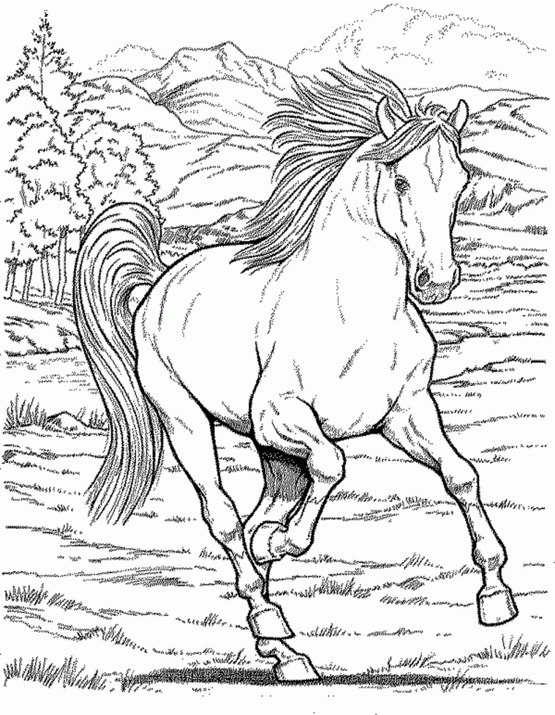 Realistic Horse Coloring Pages - Max Coloring
