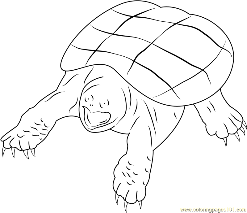 Snapping Turtle Coloring Page for Kids - Free Turtles Printable Coloring  Pages Online for Kids - ColoringPages101.com | Coloring Pages for Kids