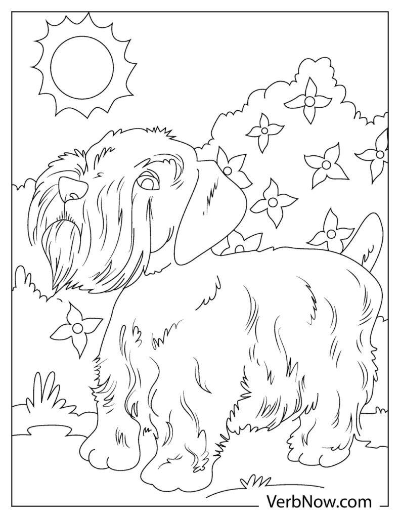 Free TERRIER DOG Coloring Pages & Book for Download (Printable PDF) -  VerbNow