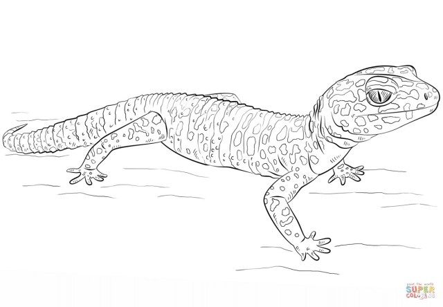 27+ Brilliant Image of Gecko Coloring Page - albanysinsanity.com | Leopard  gecko, Gecko, Cute gecko