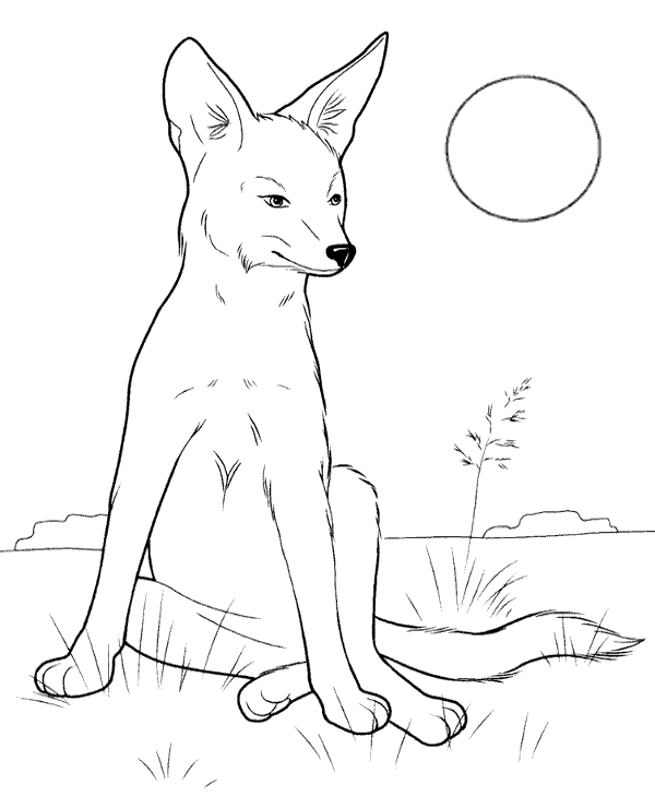 Fox coloring page animal - Topcoloringpages.net