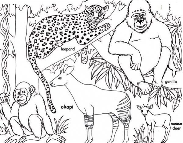 Pin on Animal Coloring Pages