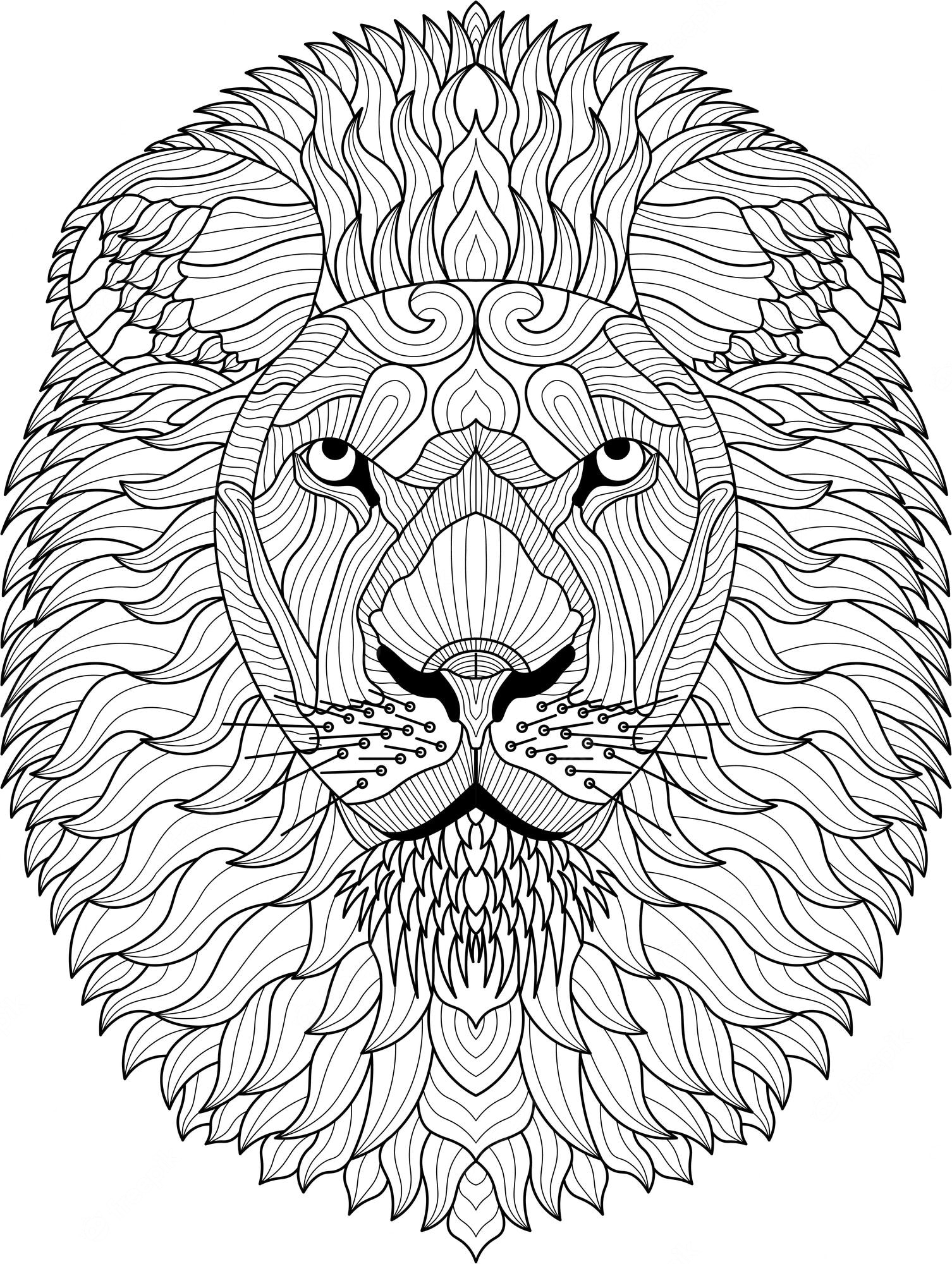 Premium Vector | Zentangle black and white hand drawn lion coloring page  illustration