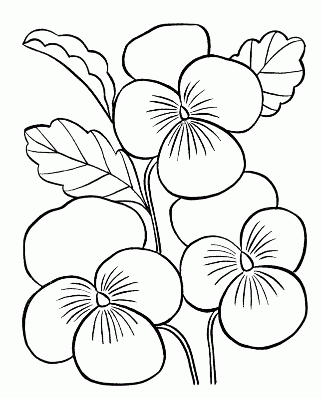 Flower For Adults - Coloring Pages for Kids and for Adults