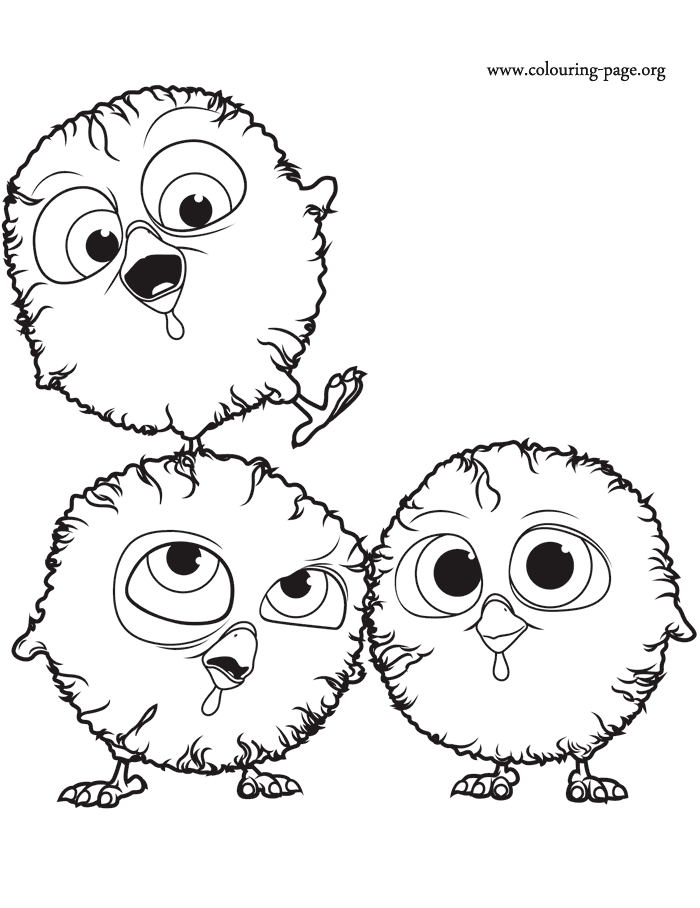 Free Birds - The Chicks coloring page