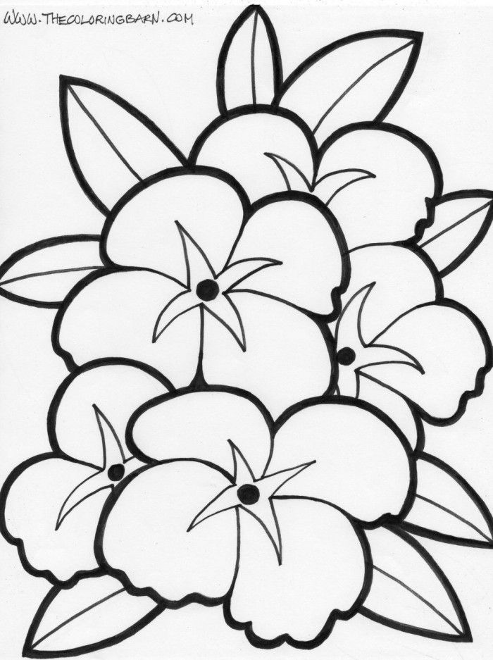 Cartoon Flowers Coloring Pages