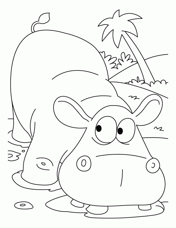 Cartoon HIPPO Colouring Pages (page 2)