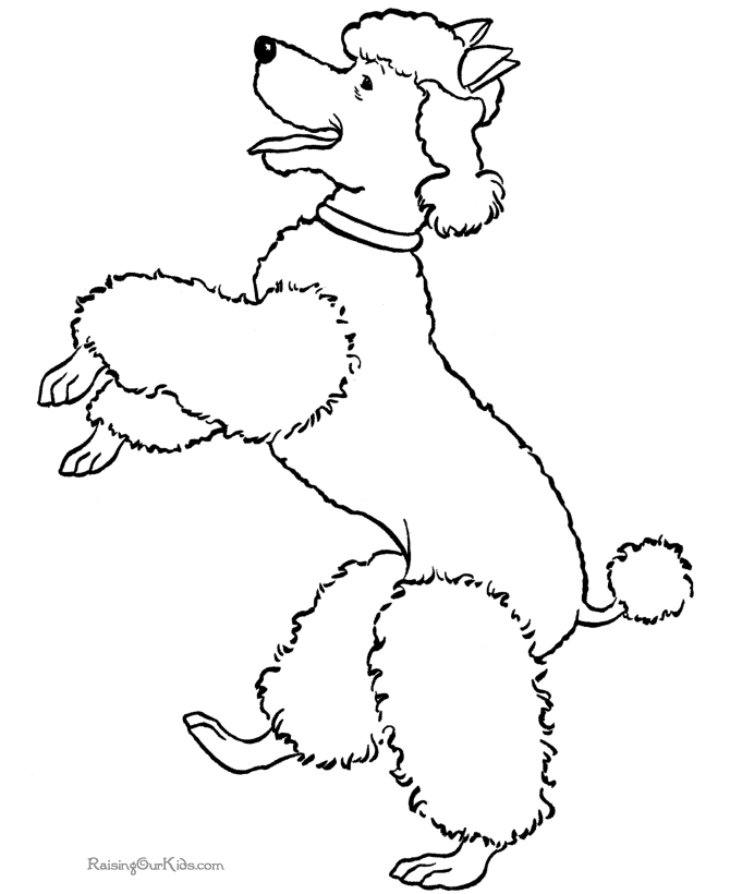 Dog Coloring Pages 2014- Z31 Coloring Page