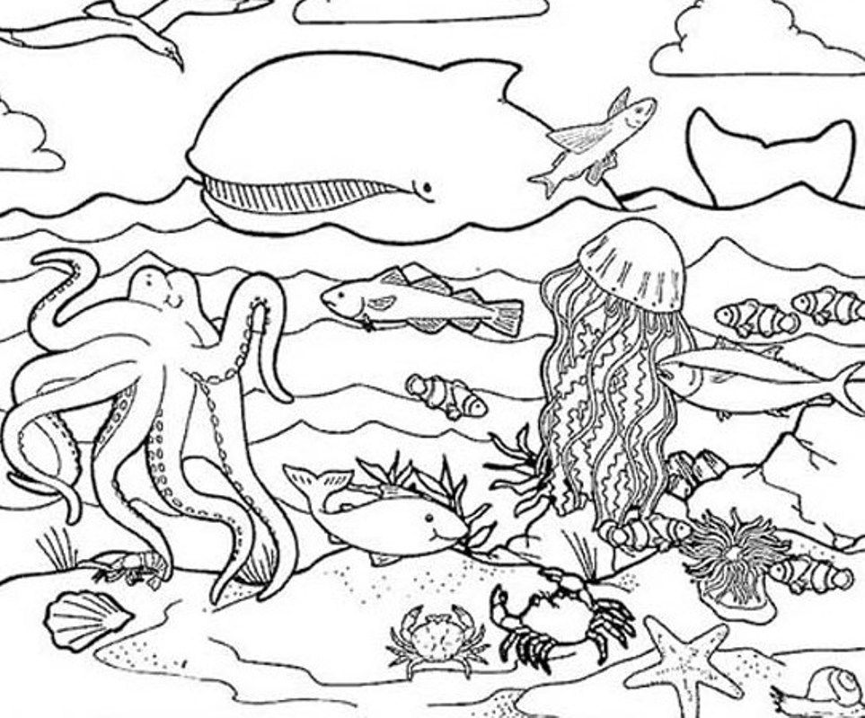 detaled ocean coloring page : Printable Coloring Sheet ~ Anbu 