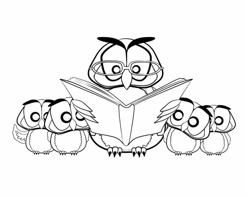 owls reading Colouring Pages