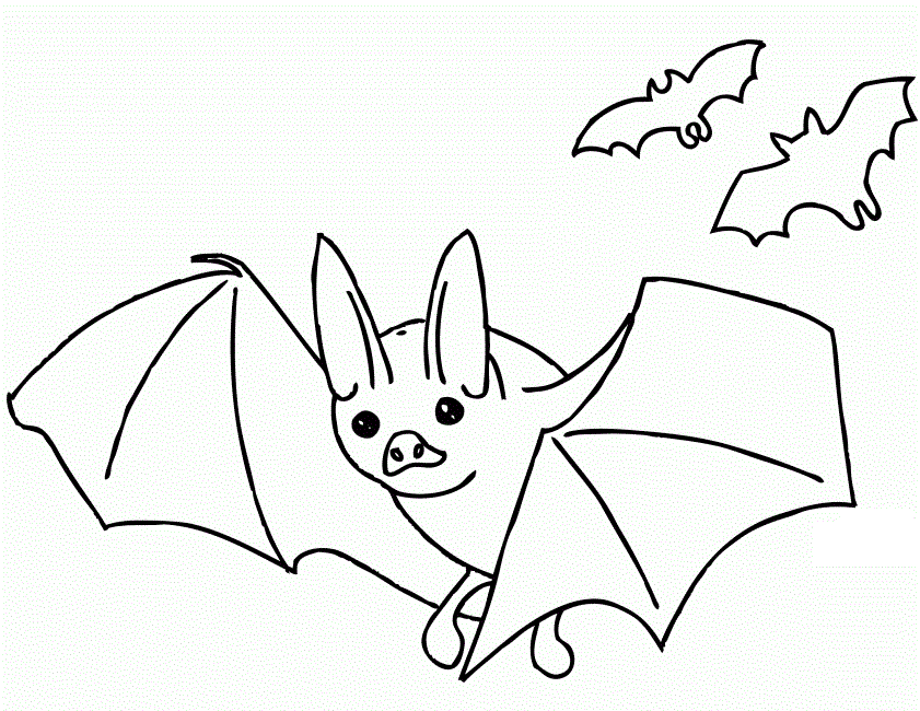 bat coloring pages printable | Coloring Picture HD For Kids 