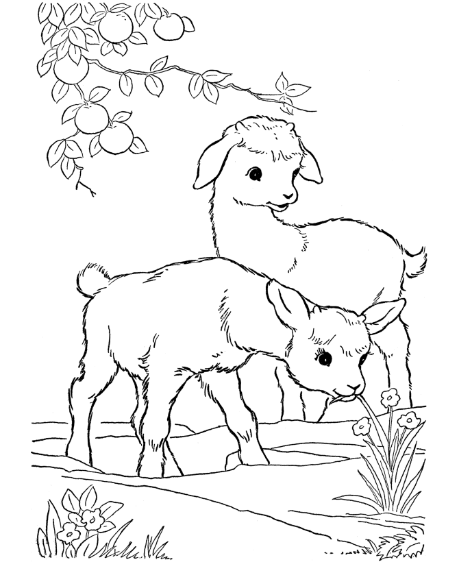 monster truck coloring pages bigfoot trend