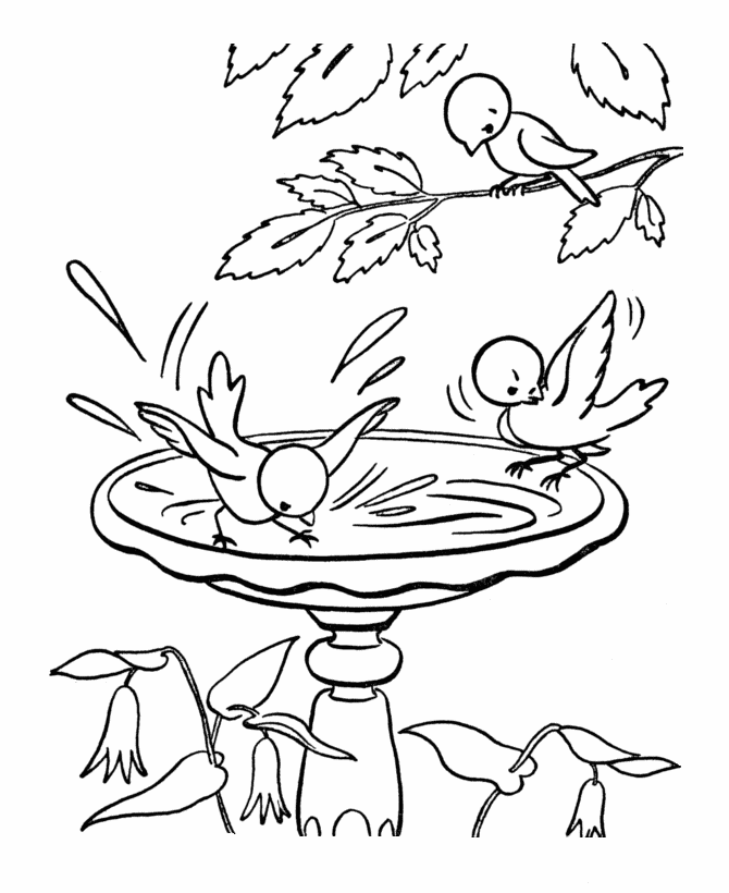 Spring Coloring Pages - Kids Spring Birds in the Birdbath Coloring 