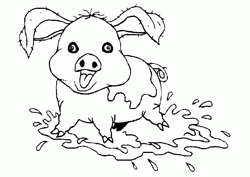 Animal Coloring Pages : Little Pigs Play Water Coloring Page Kids 