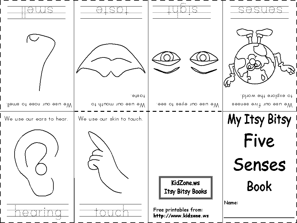 5 senses worksheet coloring page