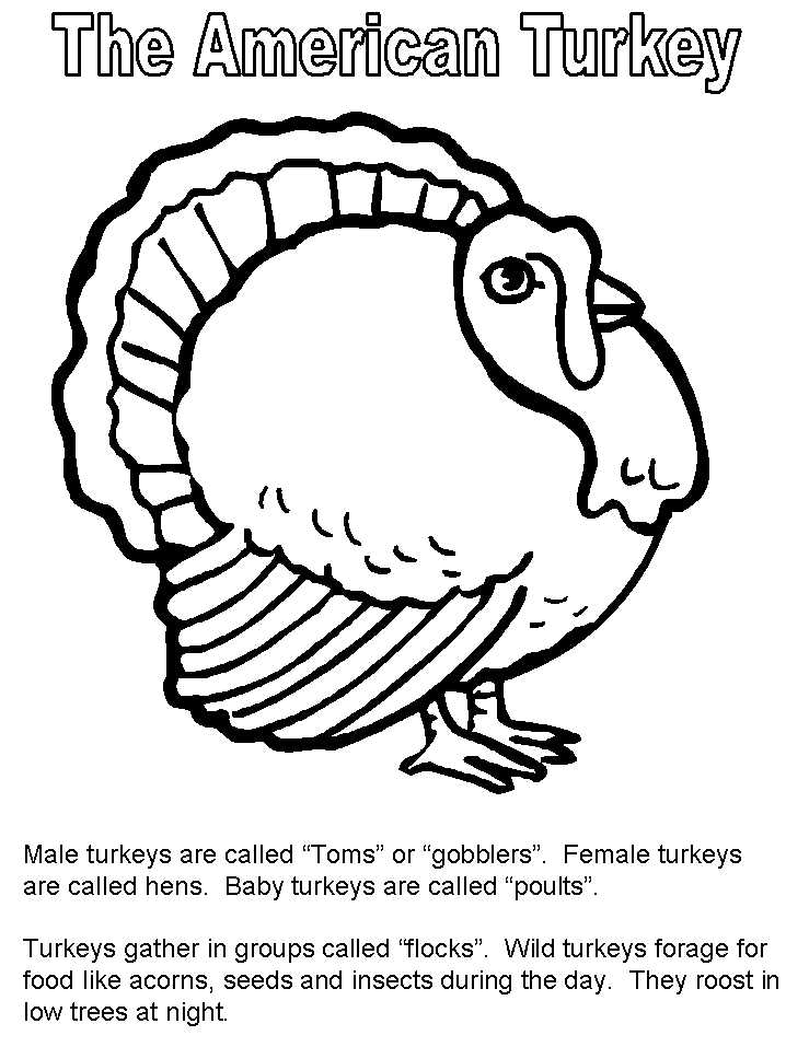 Turkey Coloring Book Page