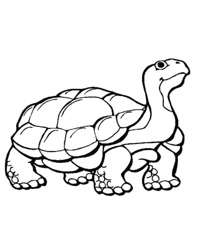 Hibernate Coloring Page Httpwwwlearning Yearscomcoloring Pages 