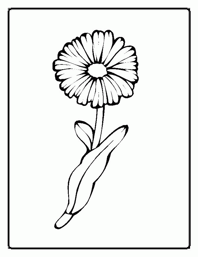 Flower Coloring Pages | ColoringMates.