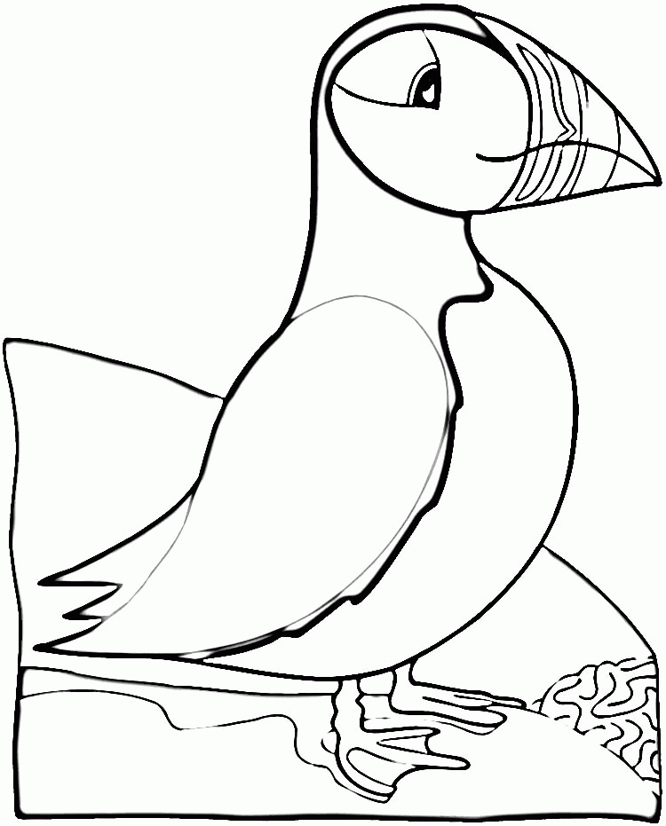 Bird Puffin Coloring Online | Super Coloring