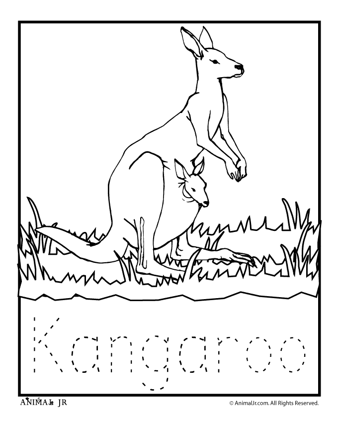 kangaroo coloring page | Australian animals