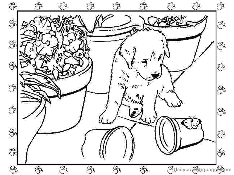 Kids Coloring Puppy Coloring Page Puppy Coloring Page 783715 