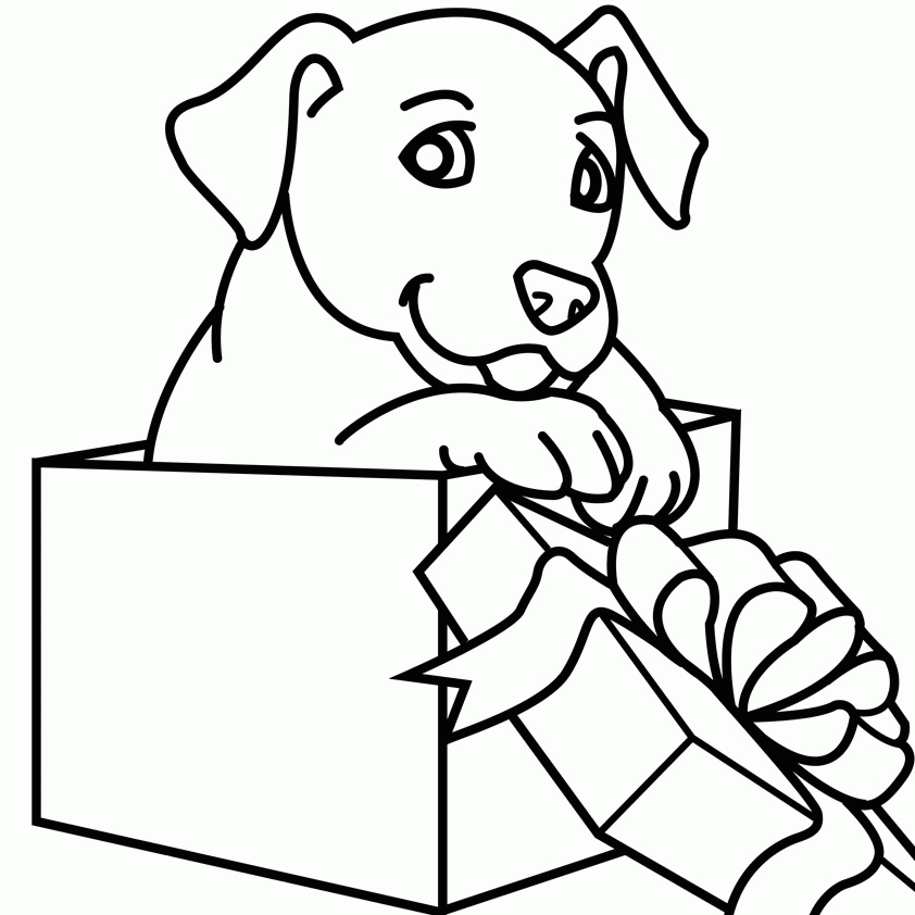 Christmas Puppy Digital Coloring Page Book Illustrator - Animal 