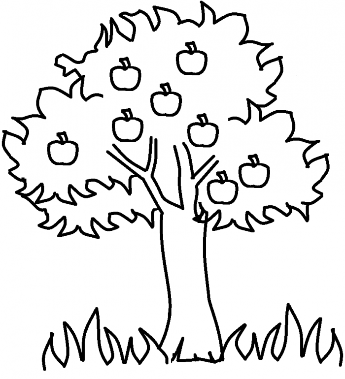 Apple Tree Coloring Page Sheet