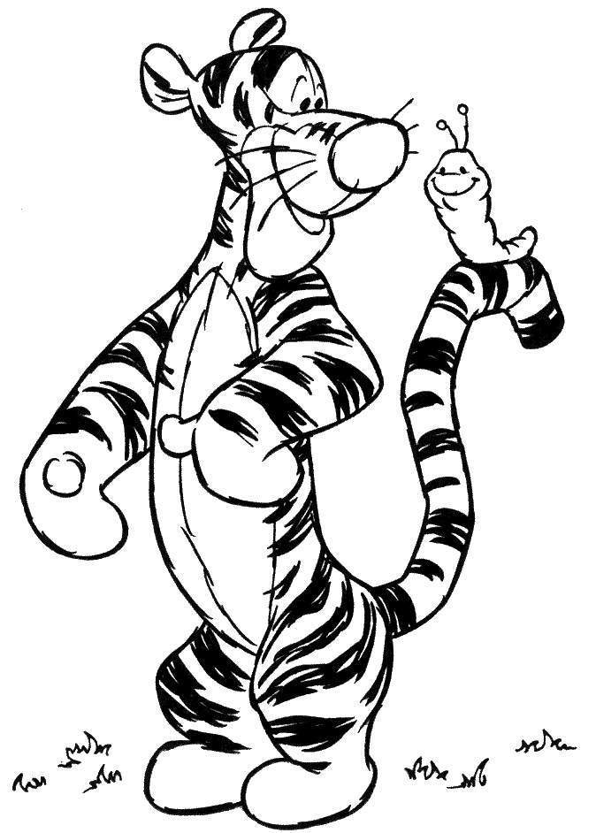 Disney Tiger Coloring Pictures | Disney Coloring Pictures | Disney 