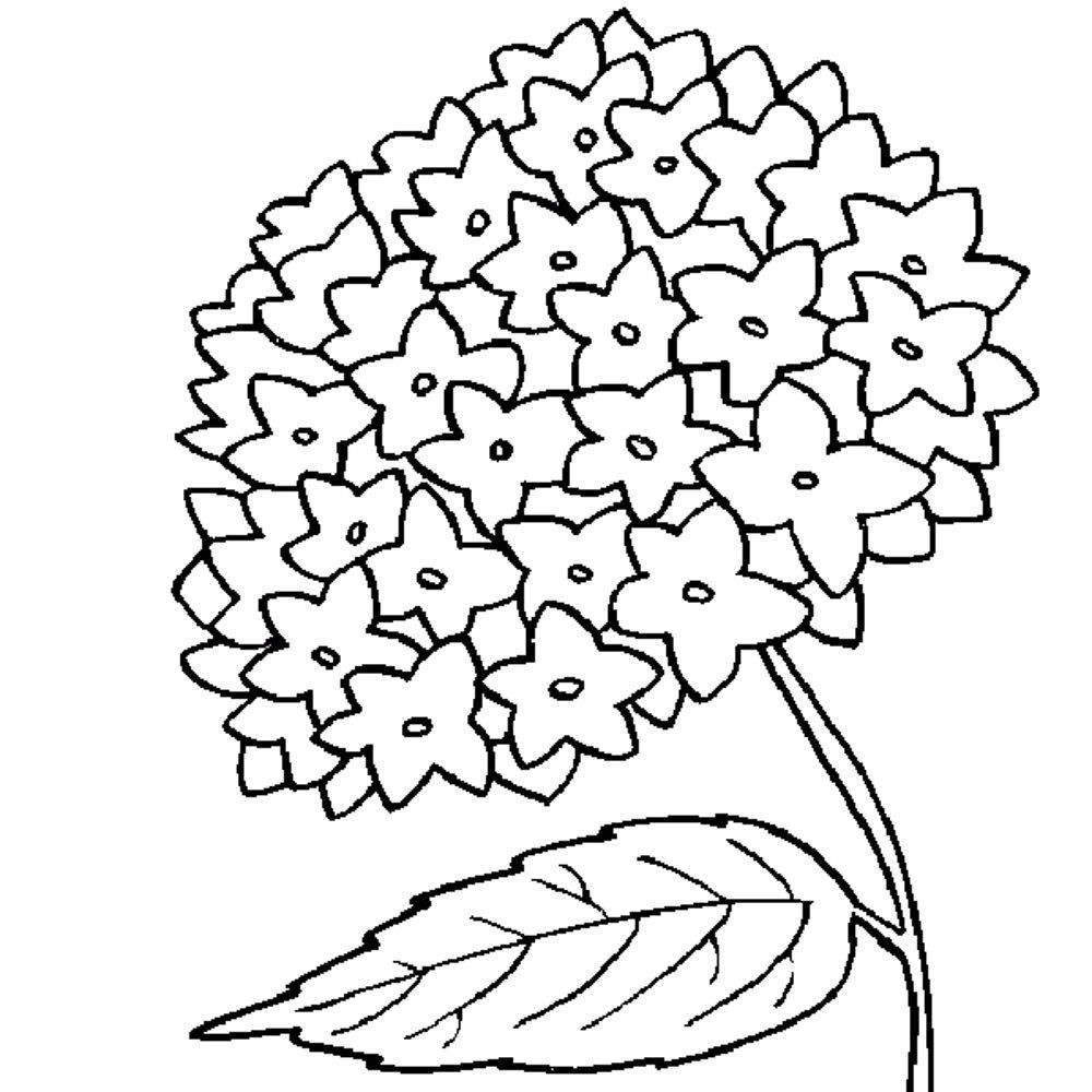 printable-coloring-pages-of-flowers | | BestAppsForKids.com