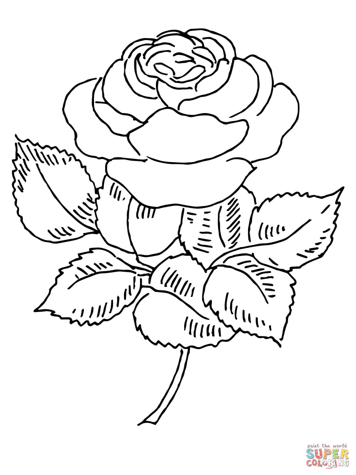 Free Intricate Rose Coloring Page, Download Free Intricate Rose Coloring  Page png images, Free ClipArts on Clipart Library