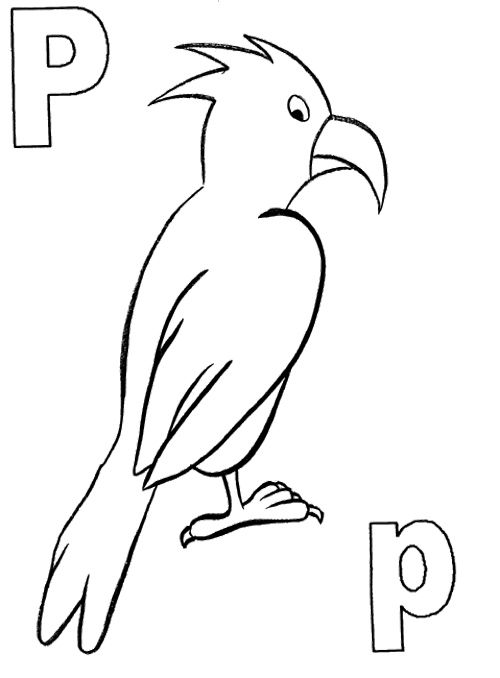 P For Animal Parrot Coloring Pages | Bird coloring pages, Preschool coloring  pages, Coloring pages