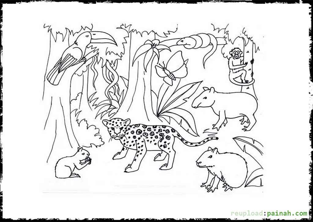 Amazon Rainforest Plants Coloring Pages - Coloring Pages For All Ages