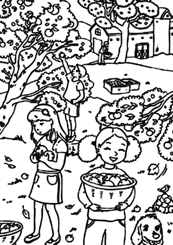 Three Little Girl Harvests Backyard Orange Coloring Pages: Three ...