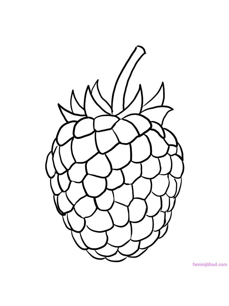 raspberry coloring image. Raspberries are the fruit of the family of  berries which have very beauti… | Coloring pages, Coloring pages to print,  Fruit coloring pages