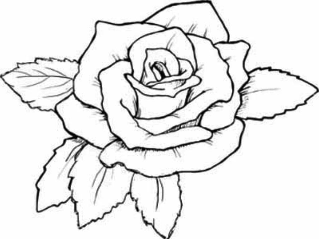 Coloring Pictures Of Roses And Hearts Coloring Pages Of Roses For ...