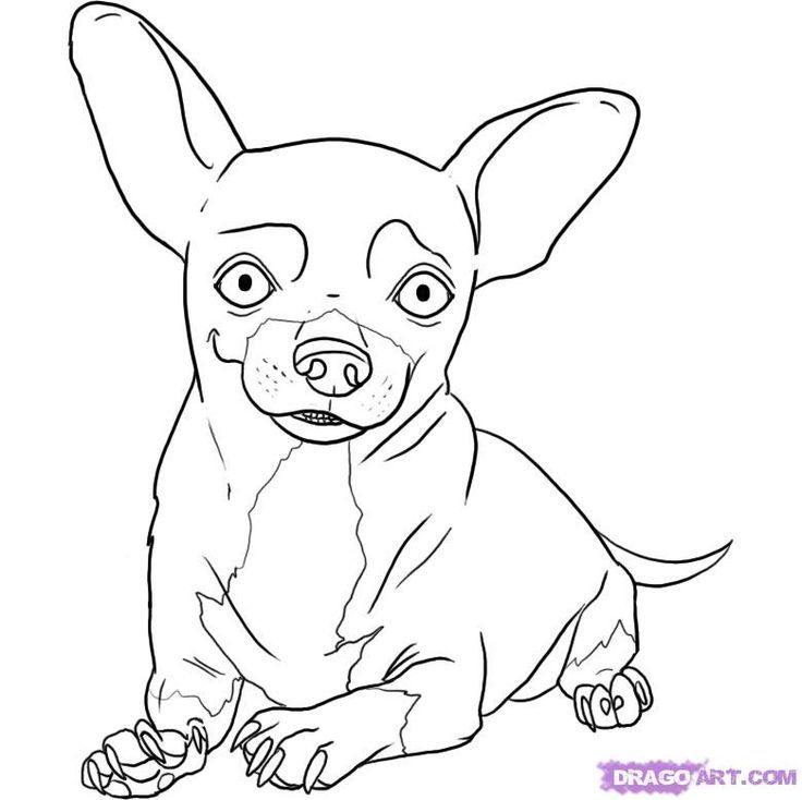 chiwawa coloring pages | beverly hills chihuahua coloring pages ...