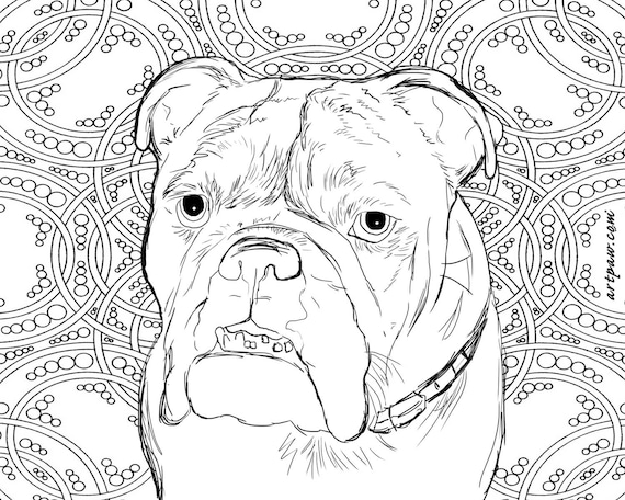 Custom Coloring Book Page of Your Pet / Custom Pet Drawing - Etsy