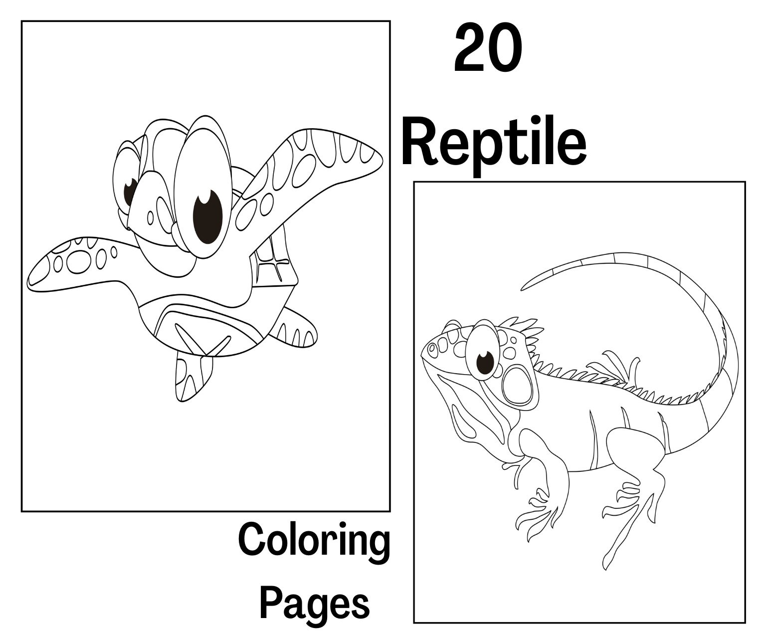 Reptile Coloring - Etsy