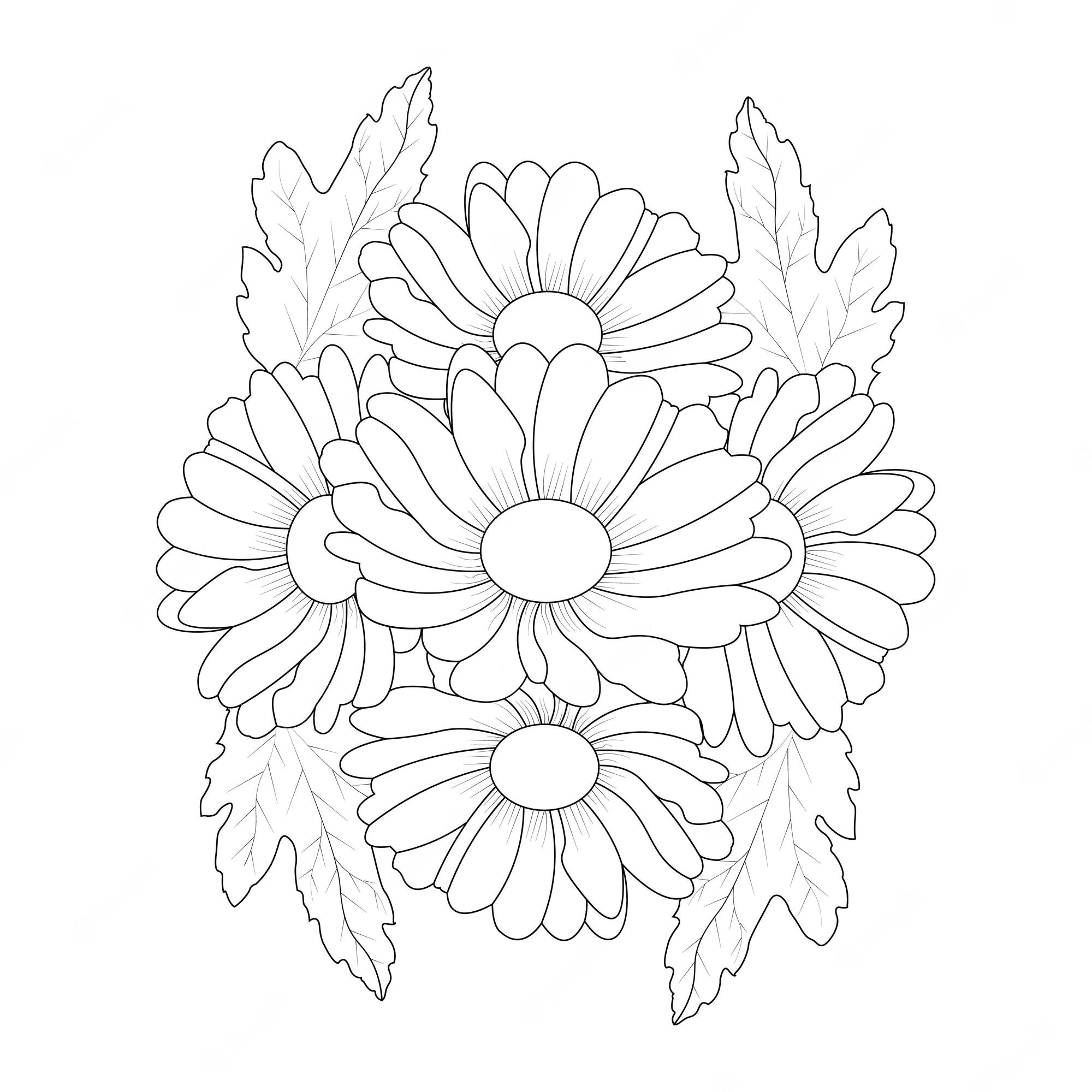 Daisy flower coloring page Vectors & Illustrations for Free Download |  Freepik