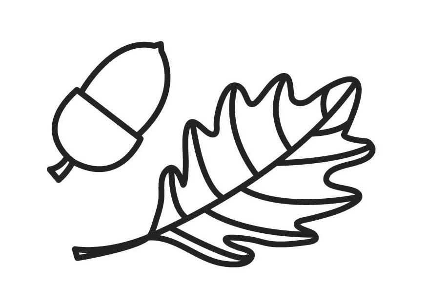 Acorn Coloring Pictures - Coloring Pages for Kids and for Adults