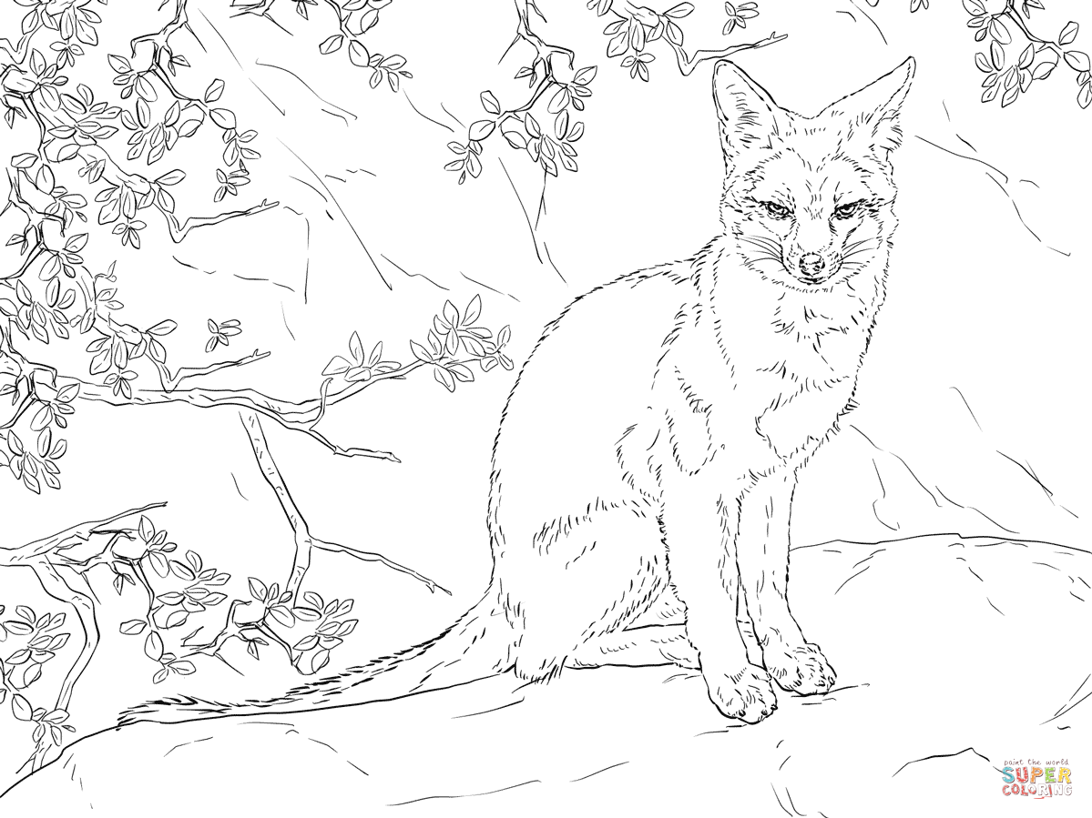 Sitting Gray Fox coloring page | Free Printable Coloring Pages