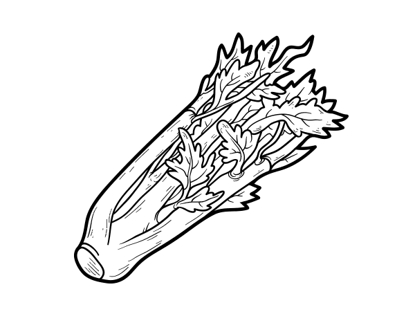 A celery coloring page - Coloringcrew.com