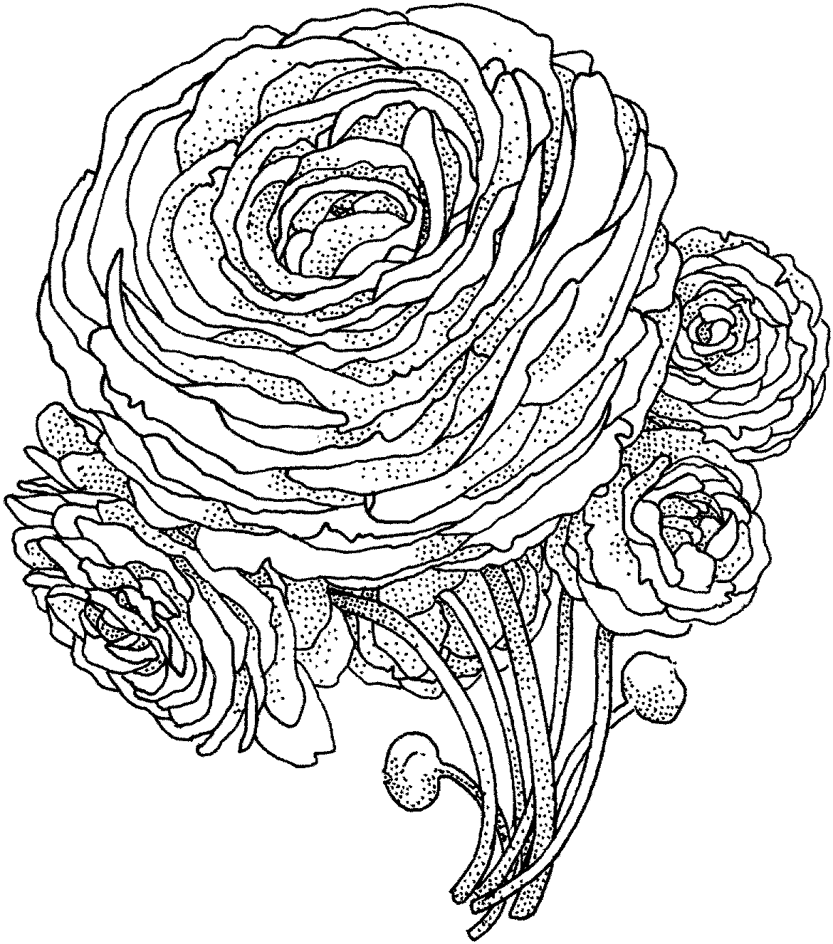 Peony Flower Coloring Pages - Flower Coloring Pages - Coloring Pages For  Kids And Adults