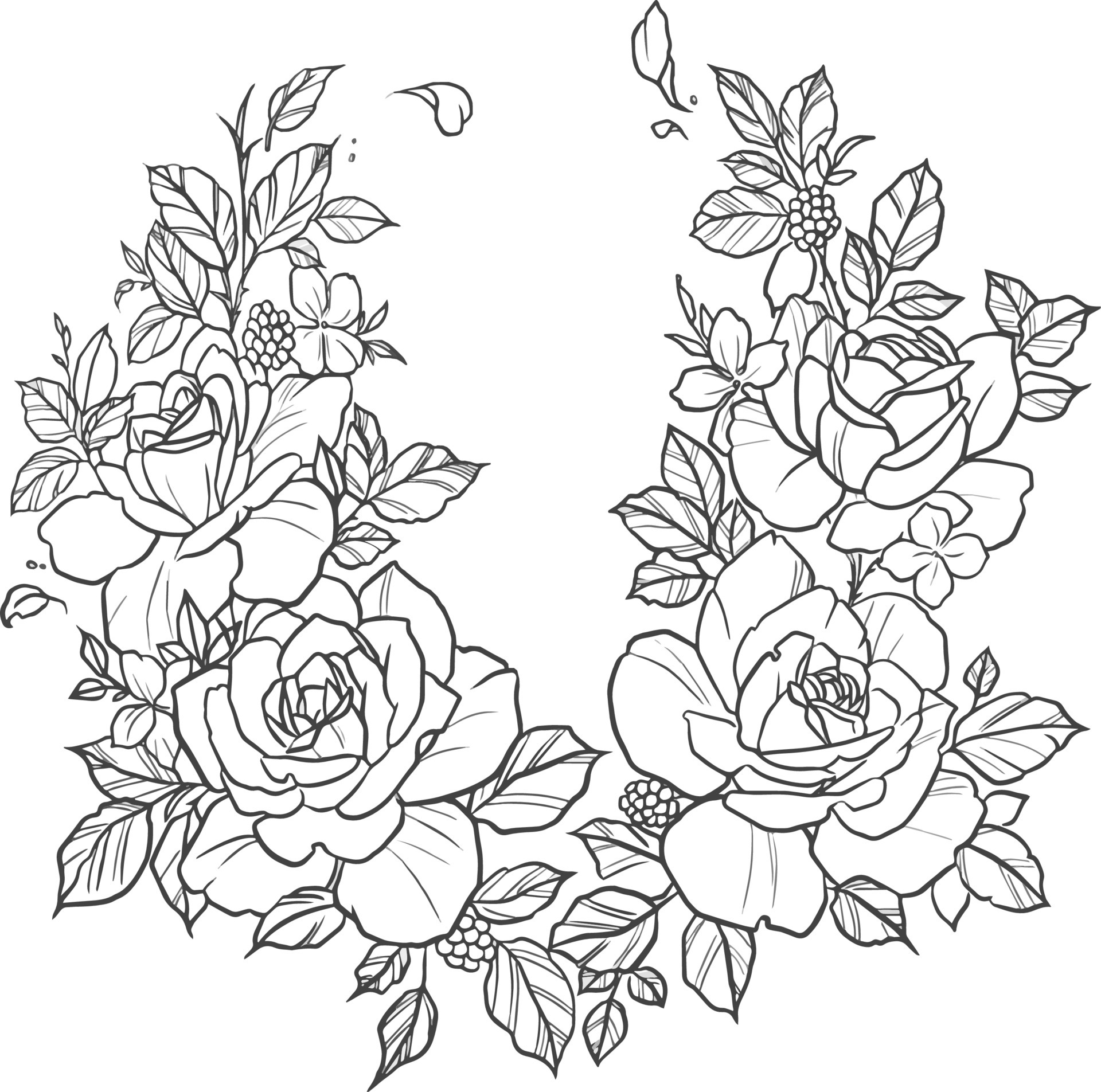 Rose Coloring Page Vector Art, Icons, and Graphics for Free Download
