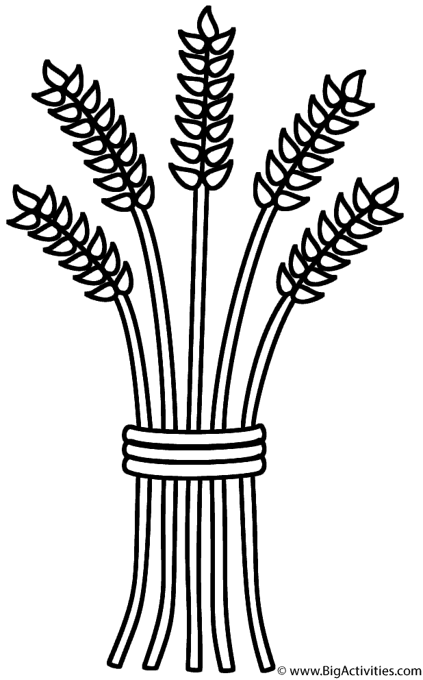 Coloring Pictures of Wheat | Wheat sheaf - Coloring Page ...